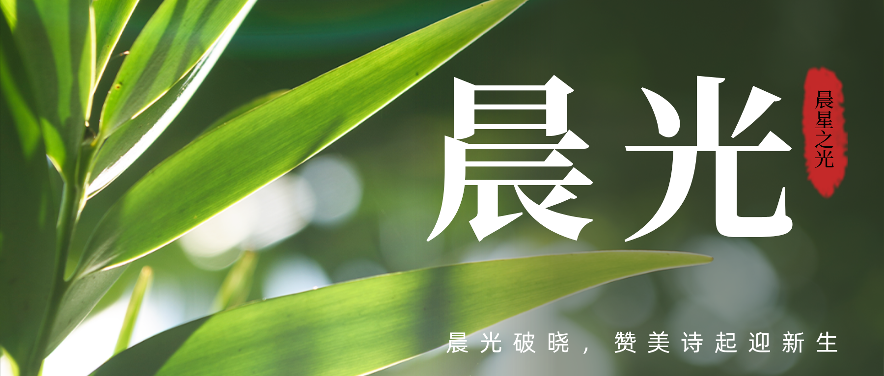 云上牧歌—赞美至高主